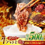 味付けハラミ 500g