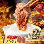 味付けハラミ 2kg