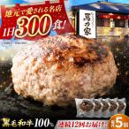 超ハンバーグ ミニ 5個