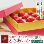 完熟 いちご 400g
