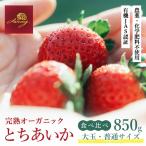 完熟 いちご 850g