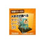 背面ミラー付き 展示用アクリルケース 3辺合計