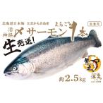 \予約完売 ありがとうございました 生発送