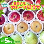 フルーツセット 約5kg