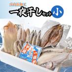 庄内浜加工 一夜干しセット 大 鶴岡魚類株式会社