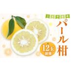 上 パール柑 約5kg