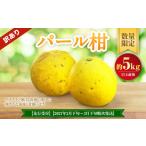 パール柑 約5kg