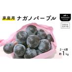 ショッピングふるさと納税 先行予約 ふるさと納税 TK18-26A 【先行予約】ぶどう ナガノパープル【家庭用】約1kg ／2026年9月上旬〜中旬頃 配送予定 // 種なし 皮ごと 南信州 長野県 .. 長野県松川町