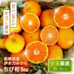 伊木力温州早生みかん5kg ご 箱入り 伊木力