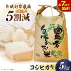こしひかり 新米 白米 5kg