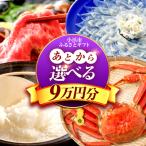 フグ あとから ふるさと 9万円分 海産物 箸