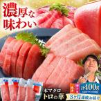 対馬産 本マグロ 400g