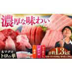 対馬産 本マグロ 約1.3kg