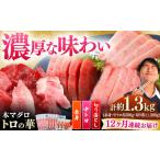 対馬産 本マグロ 約1.3kg