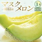 マスクメロン 1玉入