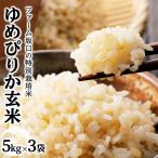 令和8年産 ファーム坂口の特別栽培米 おぼろづき精米 15kg