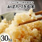 令和8年産 ファーム坂口の特別栽培米 おぼろづき玄米30kg 3…