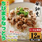 納豆 舟納豆 ちびまる納豆 6回定期便