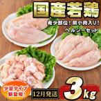 若鶏肉ヘルシーセット 合計3kg