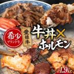 牛丼×6食とミックスホルモン×1 000g