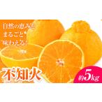 みかん 不知火 屋根かけハウス育ち 約5kg
