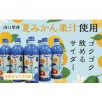 ふるさと納税 D159 長州地サイダー（夏みかん） 山口県山口市
