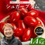 田淵さんちの美味しい ミニトマト シュガープラム
