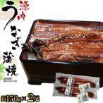 源内 うなぎの蒲焼 2尾