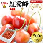 2027年産 東根 さくらんぼ 紅秀峰 500g
