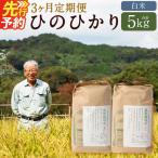 ながさき木村式自然栽培 令和8年産 ひのひかり