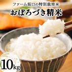令和8年産 ファーム坂口の特別栽培米 おぼろづき精米 10kg