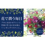 C053 花うるる おまかせハンギング 寄せ植え