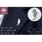 fu.... налог морской конек бриллиант сапфир булавка брошь k18 белое золото db8164bok Yamanashi префектура Koufu город 