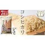 ふるさと納税 ≪ 令和7年度 ≫ コシヒカリ 玄米5kg（5kg×1袋）（茨城県共通返礼品 かすみがうら市産） [EX011sa] 茨城県桜川市