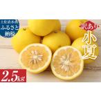 R8発送 オレンジ園の小夏2.5kg