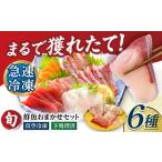 超速冷凍鮮魚6種 5種+焼物用1種 金沢鮮魚