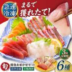 超速冷凍鮮魚6種 5種+焼物用1種 金沢鮮魚