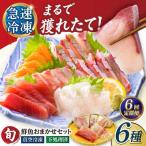 超速冷凍鮮魚6種 5種+焼物用1種 金沢鮮魚