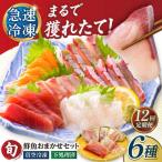 超速冷凍鮮魚6種 5種+焼物用1種 金沢鮮魚