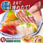 超速冷凍鮮魚7種 5種+焼物用2種 金沢鮮魚