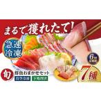 超速冷凍鮮魚7種 5種+焼物用2種 金沢鮮魚