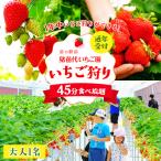 いちご狩り 1年中 道の駅前 猪苗代 いちご園