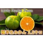 ふるさと納税 【訳あり品】リトルフルーツファームの極早生みかん 約2.5kg / ミカン みかん 蜜柑 柑橘類 訳あり先行予約 10月 2.5kg 温州みかん.. 大分県杵築市