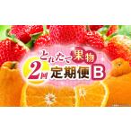 とれたて果物 2回定期便A 果物 フルーツ