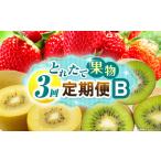 とれたて果物 3回定期便B 果物 フルーツ