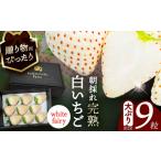ショッピングふるさと納税 先行予約 ふるさと納税 【先行予約】【1月より順次発送】 白いちご White Fairy 9粒 いちご 苺 イチゴ【配達不可：北海道・沖縄・離島】 / くぼ苺農園[AEC.. 愛知県愛西市