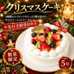 クリスマスケーキ 5号 フルーツ生デコレーションケーキ