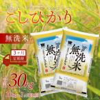 令和7年産 コシヒカリ 10kg×3ヶ月連続