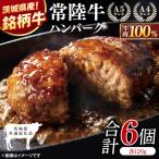 常陸牛100% ハンバーグ 120g×6個