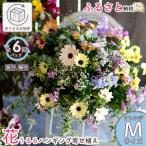 A031 花うるる 定期便 ハンギング 寄せ植え